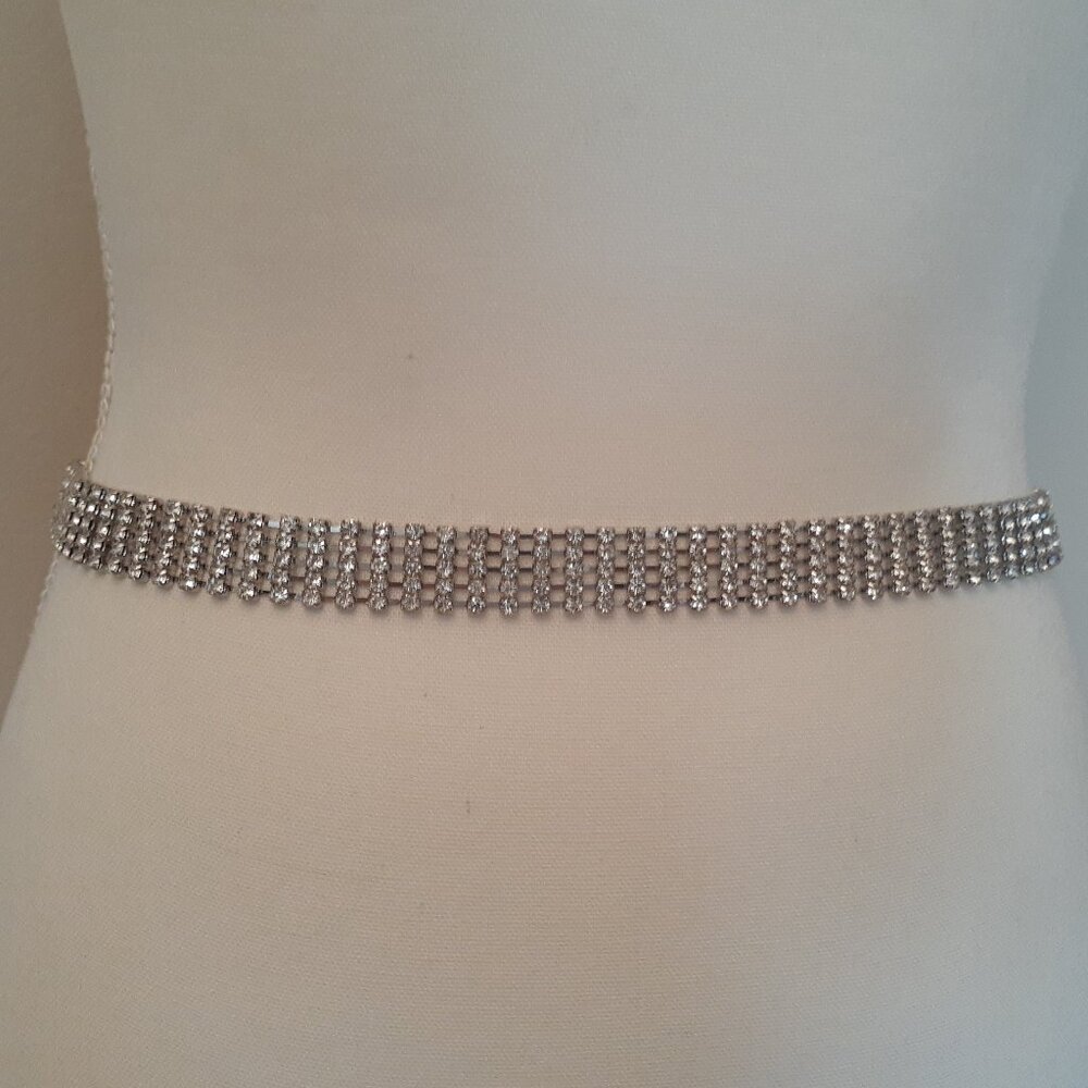 Rhinestone Belt - Picture 9 of 12